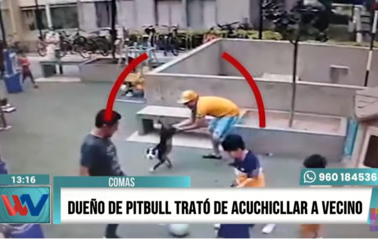 Comas: dueño de perro pitbull trató de acuchillar a su vecino [VIDEO]