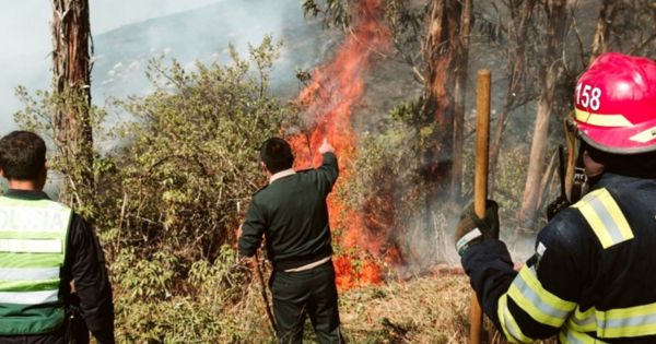 Serfor alerta que incendios forestales en Perú se incrementa: esta son las regiones afectadas