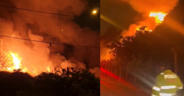 Portada: Costa Verde: incendio en acantilado generó alarma en Barranco