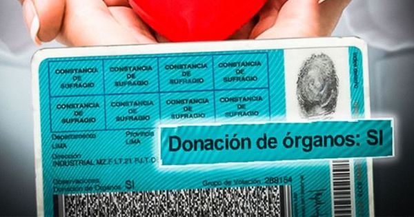 Ley establece que todos los peruanos serán donantes de órganos desde febrero, según el Minsa