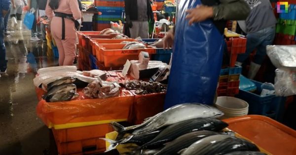 Día del Pescador: conoce el precio de los pescados en el terminal de VMT