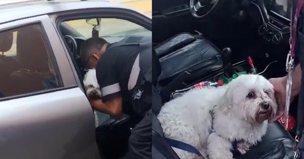 Portada: Pueblo Libre: sereno rompe ventana de auto para rescatar a perrito (VIDEO)