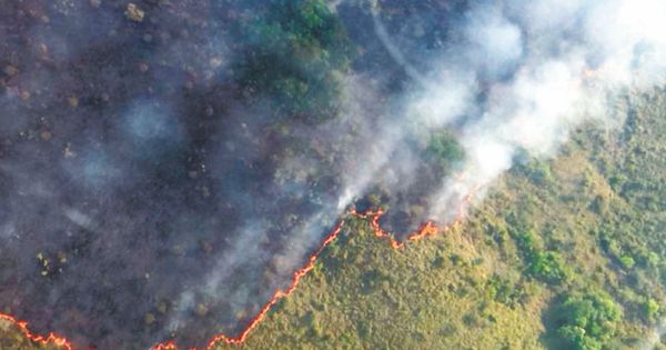 Midagri descarta desabastecimiento en los mercados por incendios forestales: "No hay afectación"