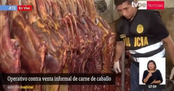 ¡INAUDITO! Carne de caballo era procesada en Ate para ser vendida como carne de res