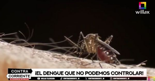 Portada: Perú sufre estragos del dengue, pero Minsa cree que todo está bajo control: así se vienen atendiendo los casos