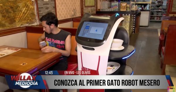 Un "gato robot mesero" atiende en un chifa: ¿dónde queda?  (VIDEO)