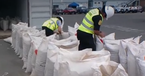 Portada: Autoridades incautan 250 kilos de droga camuflada en harina de pescado