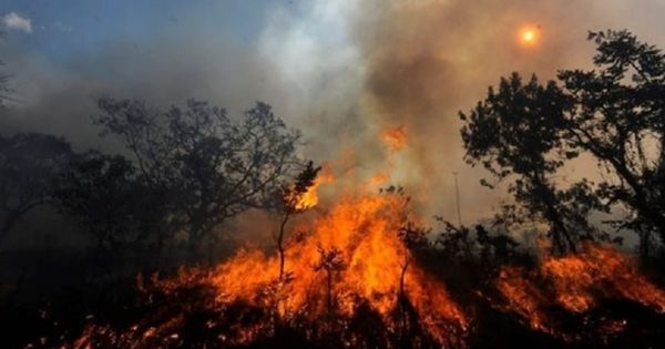 Portada: Amazonas: vicegobernadora señaló que 5 mil hectáreas han sido afectadas por los incendios forestales