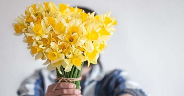 Flores amarillas: ¿qué significan y por qué se regalan este 21 de setiembre?