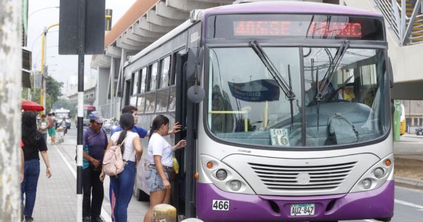 Corredor Morado: buses no estarán en funcionamiento desde este lunes