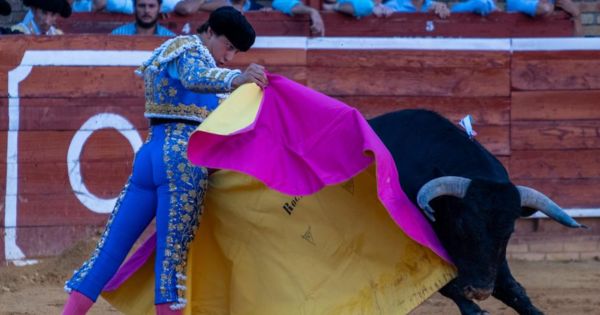 Torero peruano Andrés Roca Rey sufrió una nueva cornada en España