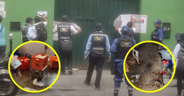 Portada: San Martín de Porres: clausuran local que almacenaba quesos con excrementos de roedores