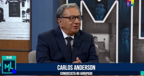 Anderson sobre cambios de gabinete: "Llama la atención que siga el ministro de Salud, Educación, Agricultura y del Interior"