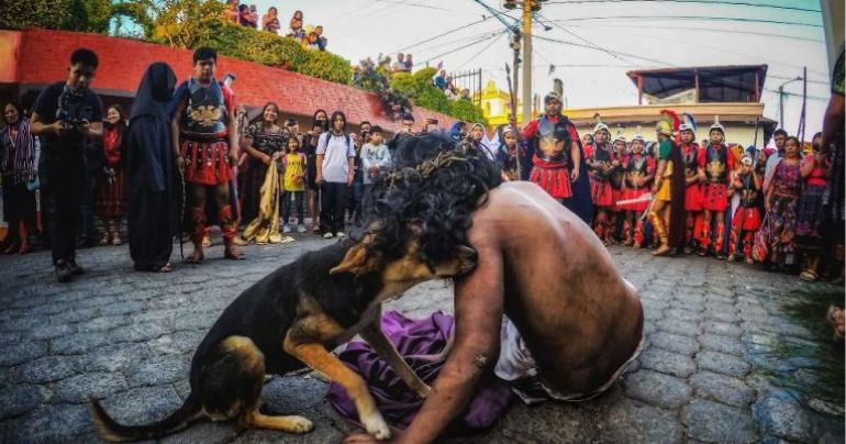 Portada: Guatemala: perrito ‘consuela’ a hombre que interpretaba a Jesús durante el Vía Crucis