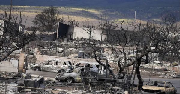 Incendios forestales en Hawái: muertes ascienden a 96 en Maui