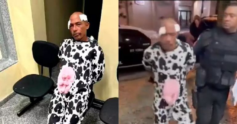 Brasil: capturan a delincuente que se disfrazó de vaca para robar