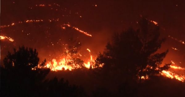 Ola de calor en Grecia: 2.500 personas son evacuadas por un incendio forestal