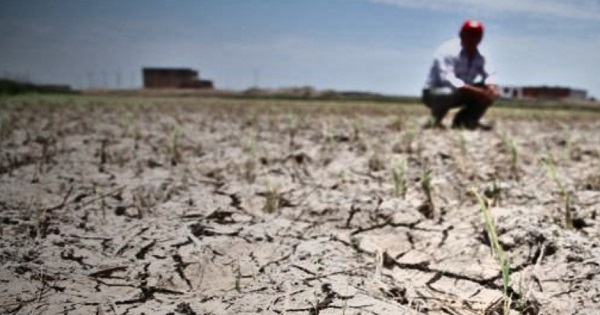 Portada: ​​​​​​​Fenómeno El Niño: ¿qué medidas adoptan desde el Ejecutivo para mitigar efectos del déficit hídrico?