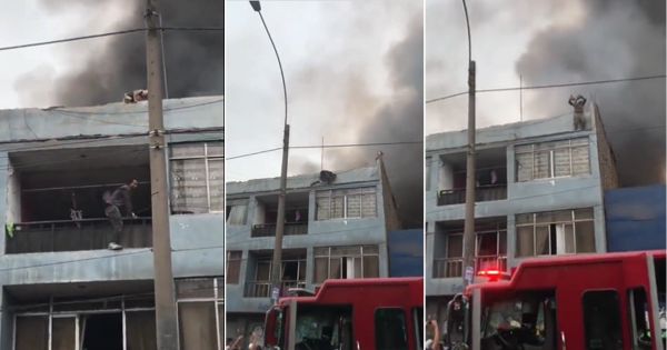 Portada: ¡Héroe! Hombre llegó hasta una azotea para rescatar a 25 perritos de incendio en La Victoria (VIDEO)