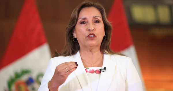 Gobierno crea comisión que brindará asesoría constitucional a la presidenta Dina Boluarte
