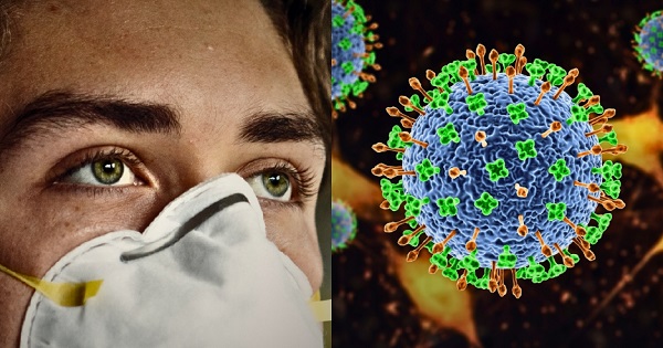 OMS no descarta que virus Nipah se convierta en la próxima pandemia