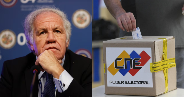 OEA exige verificación inmediata de las actas de votación pertenecientes a las elecciones de Venezuela