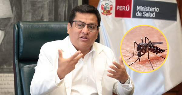 Portada: Minsa comunica cifras de dengue en el Perú: "Tenemos ya más de 173 mil casos confirmados"