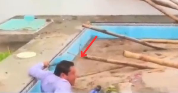 Reportero se cae en vivo en piscina demolida de Susana Villarán: "No era tan honda"