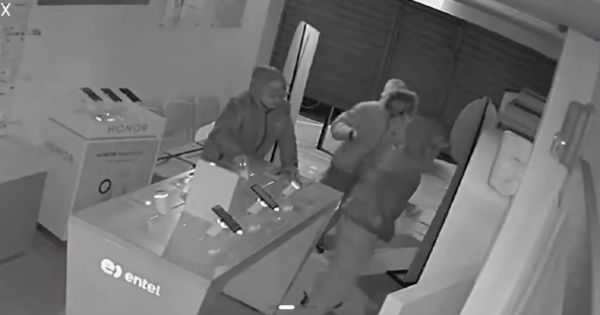 Delincuentes roban tienda de telefonía, pero se llevan maquetas de celulares
