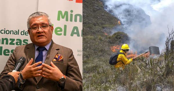 Incendios forestales: ministro del Ambiente anuncia normativa para sancionar a quienes provoquen el fuego