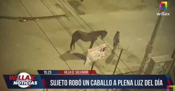 Villa El Salvador: sujeto robó un caballo a plena luz del día