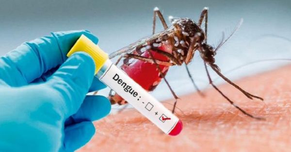 Viceministro de Salud aclara sobre el piloto de la vacuna contra el dengue: ¿cuándo se realizará?