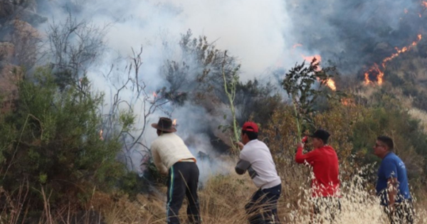 Portada: Gobierno anuncia entrega de bonos a damnificados por incendios forestales