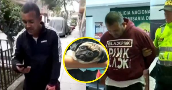 La Victoria: sujeto se grabó acuchillando a mascota de su expareja