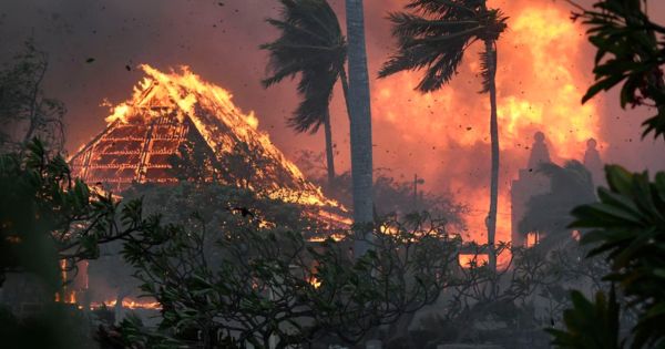 Incendio forestal en Hawái registra 53 fallecidos y se prevé que aumentará el número de víctimas