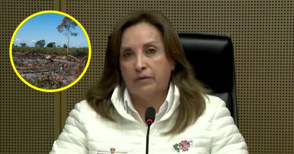 Dina Boluarte denuncia que incendios forestales en San Martín es para poder "agrandar los espacios agrícolas"