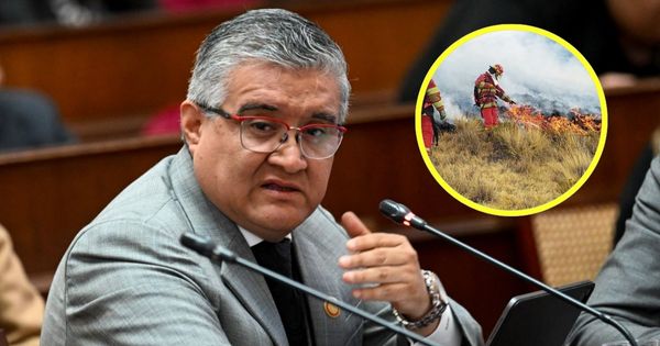 Ministro del Ambiente aclara que 95 % de los incendios forestales se origina por causas humanas