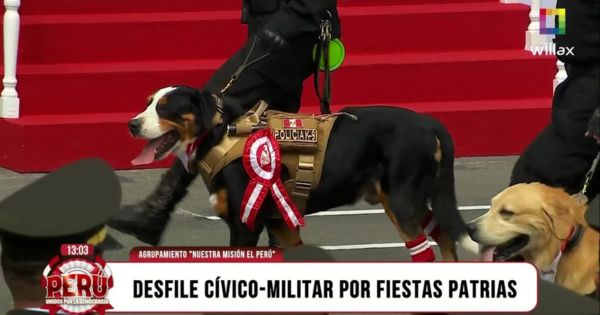 Unidad Canina de la Policía se roba el show en el Desfile Cívico Militar (VIDEO)