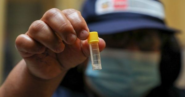 El país reporta una desaceleración de casos dengue, informó el Ministerio de Salud