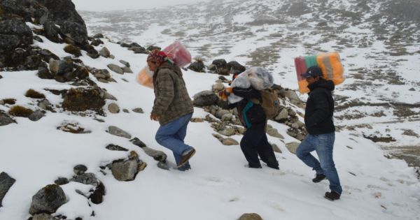 Gobierno Regional de Puno pide intervención del Ejecutivo ante emergencia por heladas