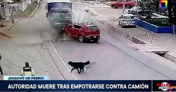 Tragedia en Cusco: por evitar arrollar a un perrito, consejero regional muere en choque con camión