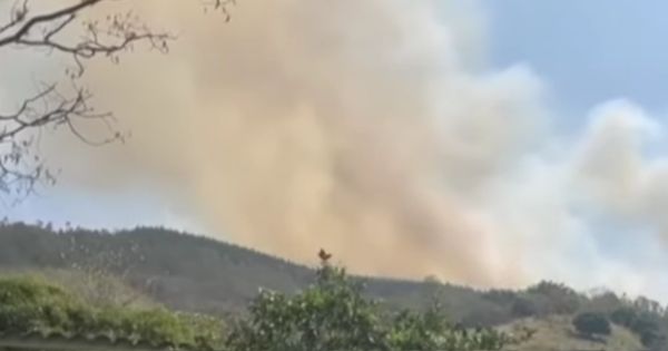 Portada: Cusco en emergencia ambiental: incendio forestal arrasa con bosque de reforestación