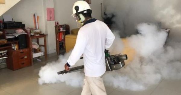 Portada: Dengue en Perú: Gobierno prorroga emergencia sanitaria en 20 regiones por aumento de casos