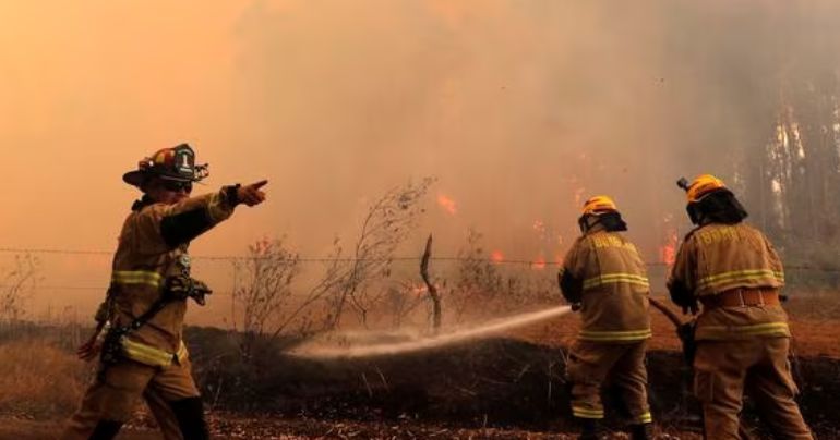 Ola de incendios en Chile: al menos 24 muertos y más de 440 mil hectáreas devastadas