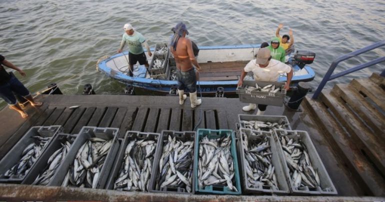 Portada: Bono 500 soles: Produce benefició a más de 32 mil pescadores artesanales