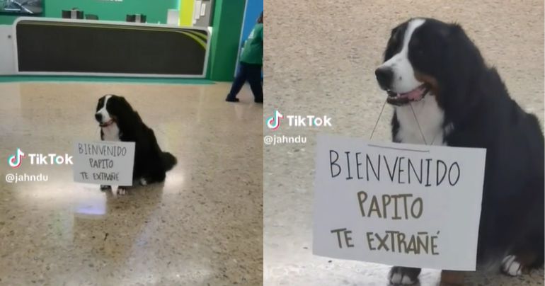 Perro espera a su dueño en aeropuerto con un cartel: "Bienvenido, papito, te extrañé"