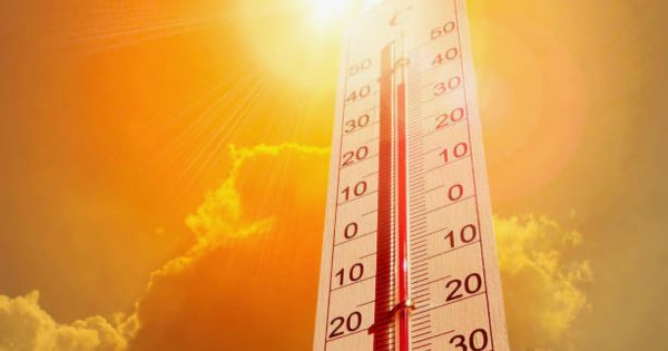 Portada: ¿Por qué aumenta la temperatura en todo el mundo? | WILLAX