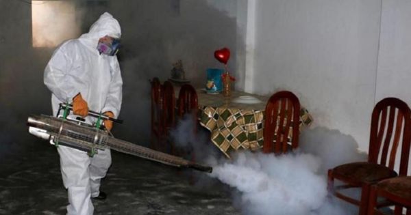 Nuevo brote de dengue en Piura, Ica, La Libertad y San Martín, advierte el Minsa