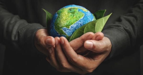 Día Mundial del Medio Ambiente: ¿por qué se celebra este 5 de junio?