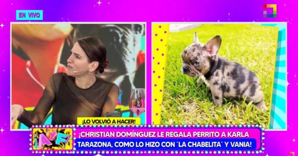 Gigi sobre mascota de Christian Domínguez y Karla Tarazona: "Christian no quiere ser el único perro en casa"